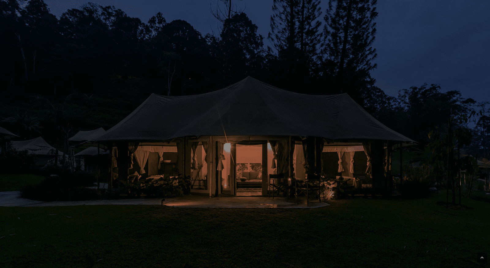 Starlight BBQ and Bonfire