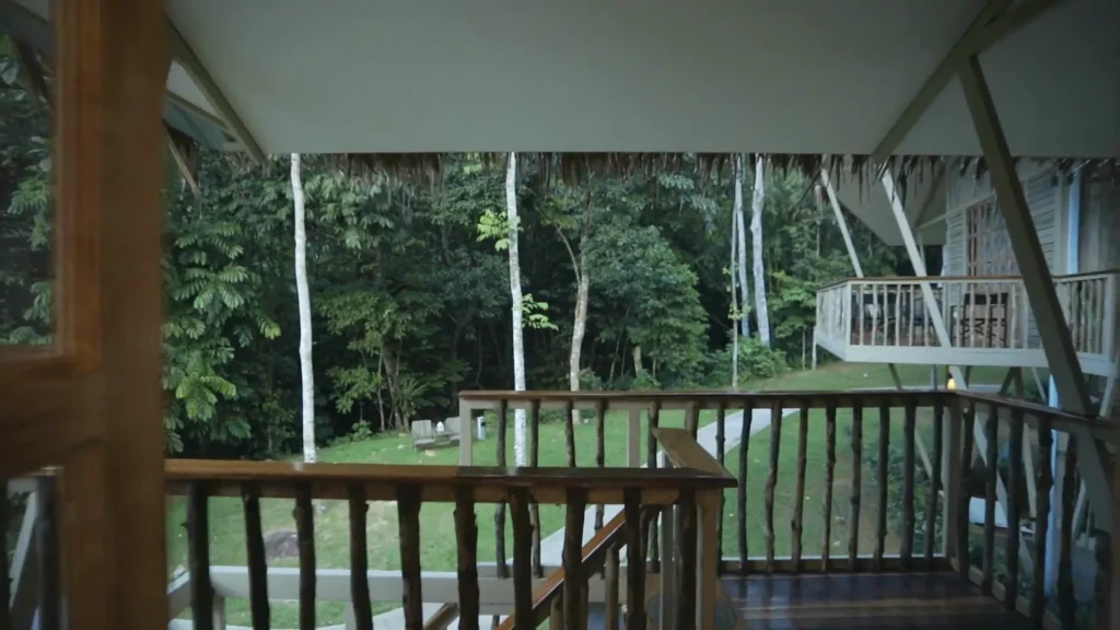 Ficus Treehouse deck looking out over the forest canopy and lawn